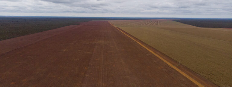 Ibama multa por desmatamento fazendeiros que plantam dentro de terra indígena no Mato Grosso