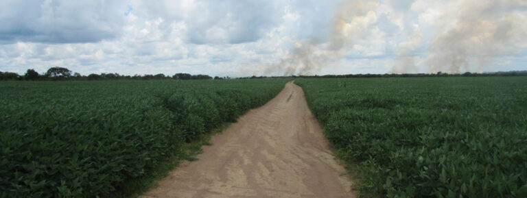 Funai ignorou por quase dois anos denúncia de arrendamento em terra indígena no Mato Grosso