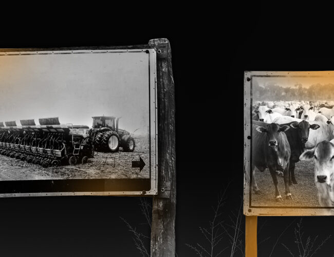 Segundo maior frigorífico brasileiro lucra na Bolsa com lavagem de gado, desmatamento ilegal e pressão sobre terra indígena