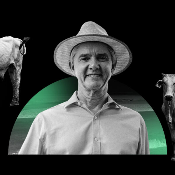 Menos floresta, mais pasto: senador Jaime Bagattoli ameaça a Amazônia com dinheiro do mercado de capitais