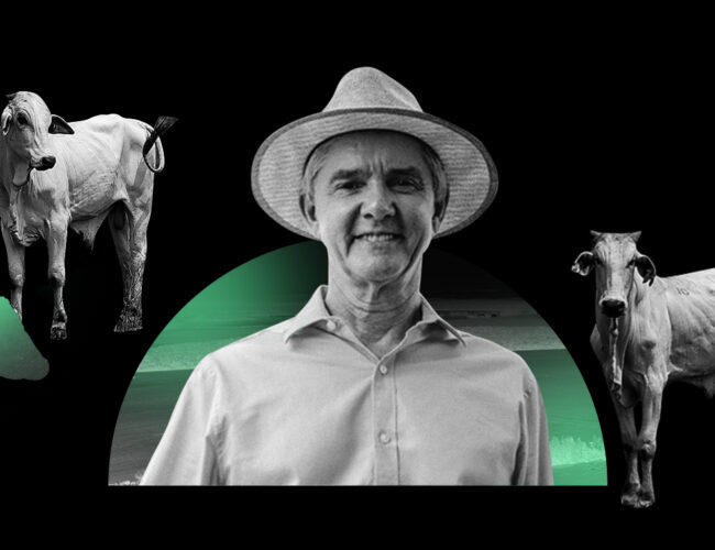 Menos floresta, mais pasto: senador Jaime Bagattoli ameaça a Amazônia com dinheiro do mercado de capitais