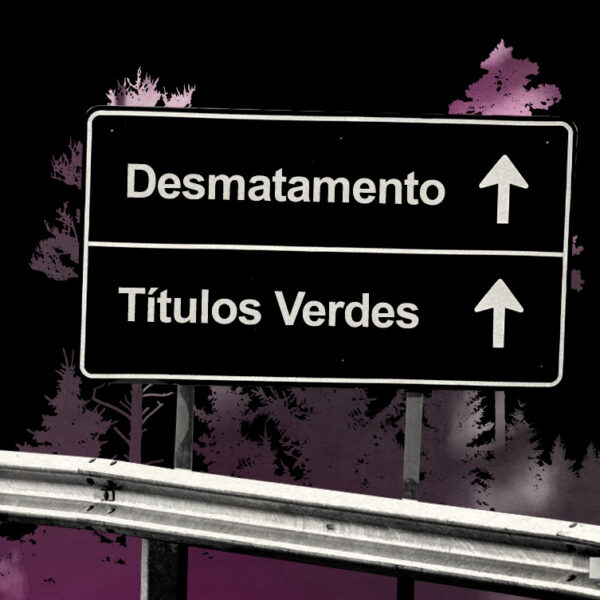 Dívidas e contratos de prefeitos desmatadores do MT são usados para emitir títulos verdes do agro