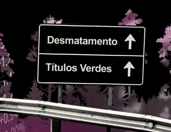 Dívidas e contratos de prefeitos desmatadores do MT são usados para emitir títulos verdes do agro