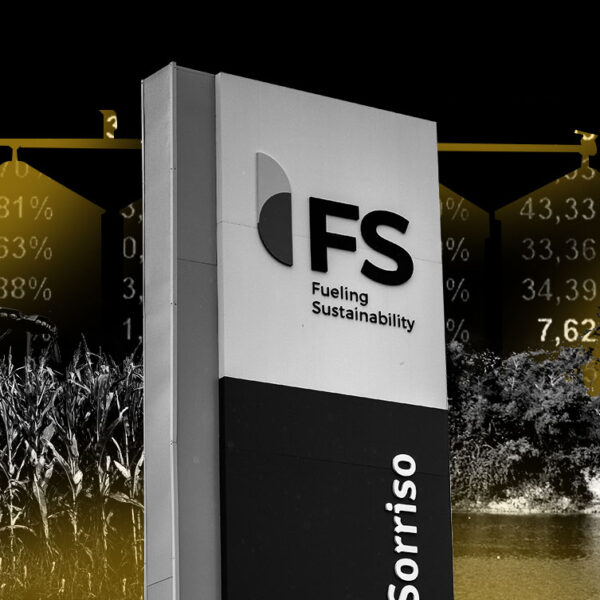 Sem petróleo, carvão, gás… e floresta: títulos “verdes” atraem investidores para negócios insustentáveis    