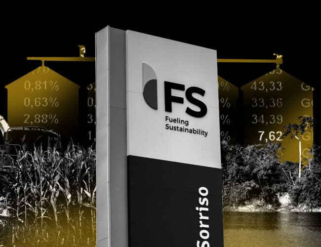 Sem petróleo, carvão, gás… e floresta: títulos “verdes” atraem investidores para negócios insustentáveis    