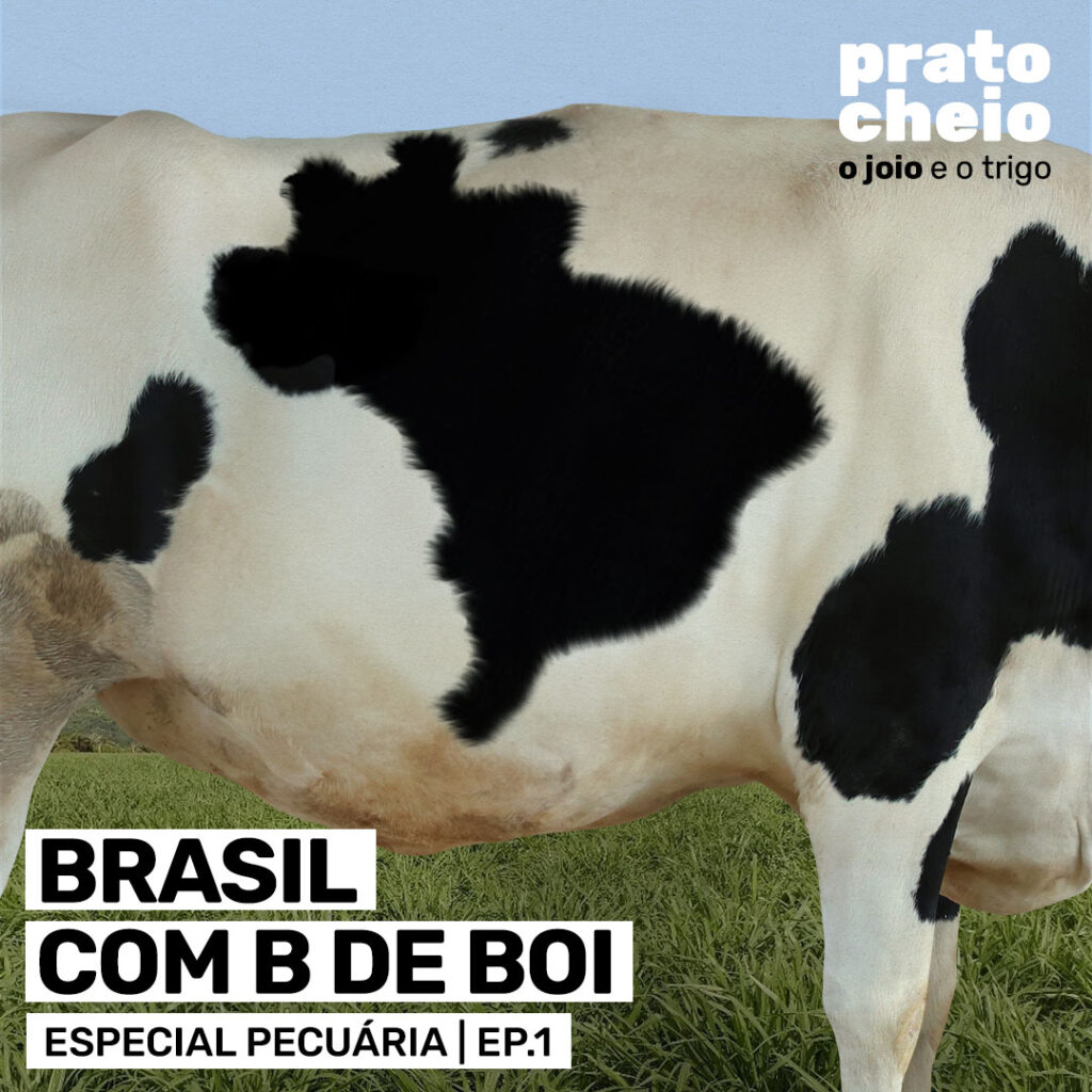 Brasil com B de Boi