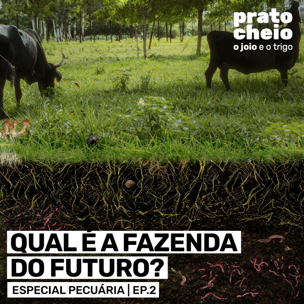 Qual é a fazenda do futuro?