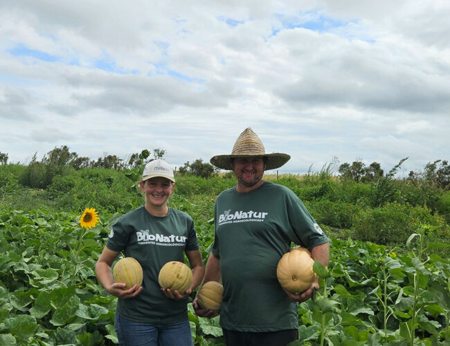 MST é o único a produzir sementes de hortaliças agroecológicas no Brasil