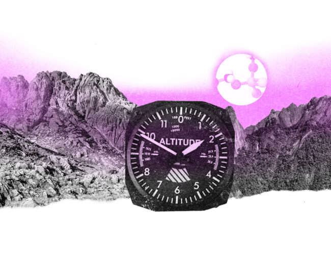 Combo de 17 tipos de veneno é encontrado em áreas intocadas e em nível 14 mil vezes mais alto que o seguro