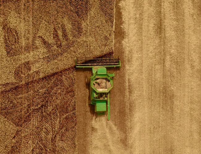 Hundreds of Brazil’s biggest pension funds could pour up to US$22.89 billion into agribusiness investments