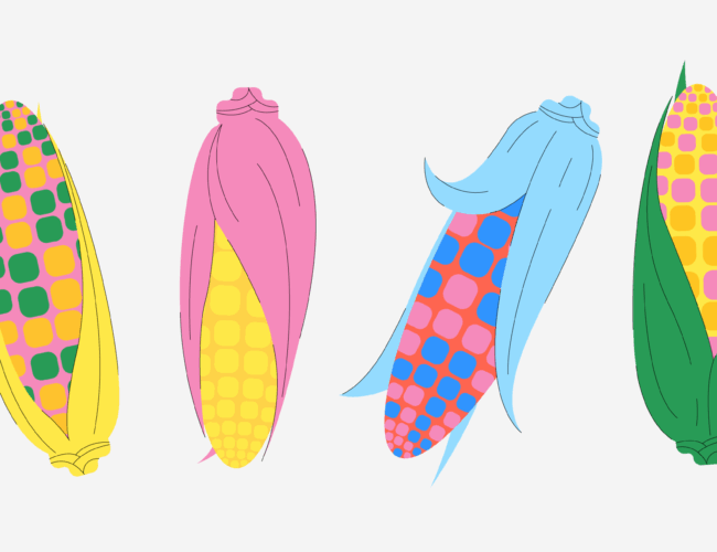 E esse milhinho assado? Tem sem ser transgênico?