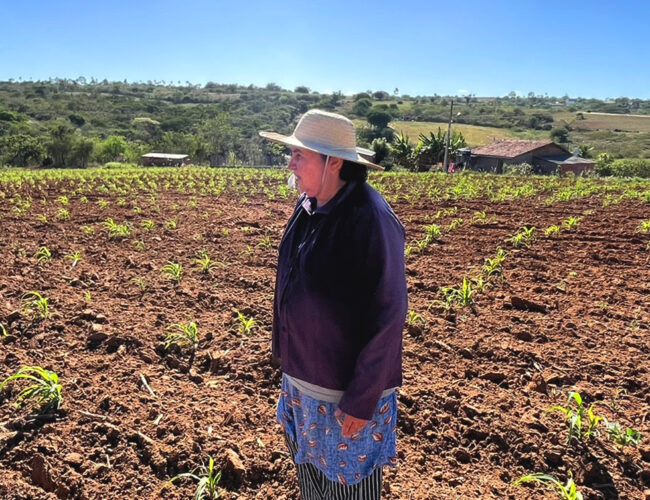 De pai para filho, de mãe para filha: em Caruaru (PE), produção de comida sem veneno atravessa gerações