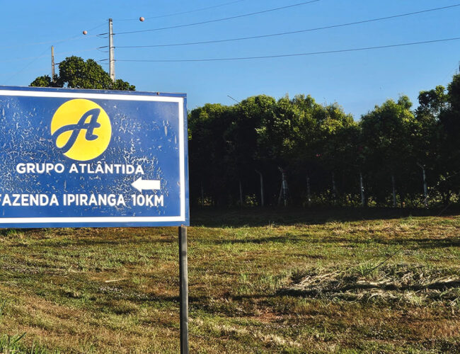 Ilhados e cercados pelo agronegócio, quilombolas aguardam titulação de território em Tocantins 