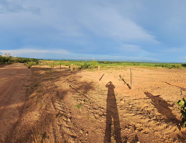 Em ano de COP30, Matopiba segue como ‘zona de sacrifício’ governamental