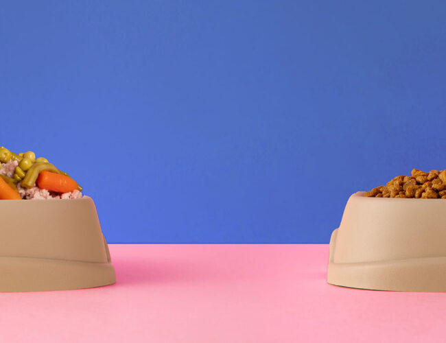 Comida de pet: dos restos da panela aos ultraprocessados