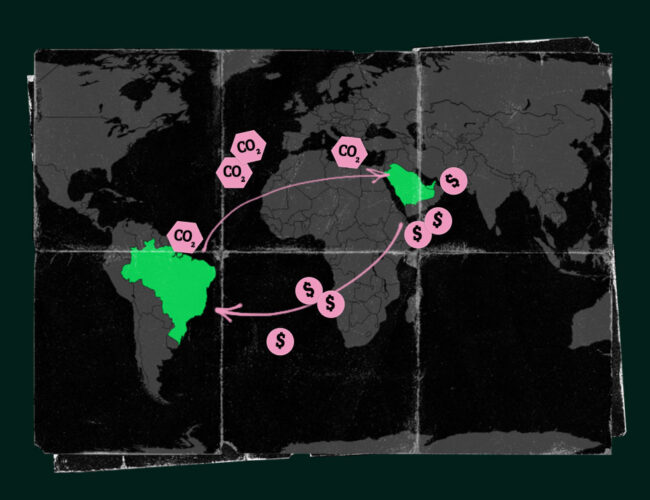 Sem zerar desmatamento, gigante da carne lucra com mercado de carbono como ativo financeiro e publicitário