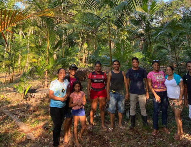 Agronegócio fica com quase todo dinheiro de programa de apoio à agricultura familiar