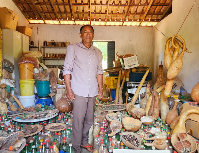 O guardião de sementes da Caatinga