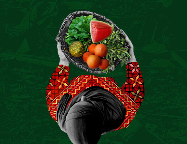 Fome em Gaza não é política pontual: entenda como há décadas Israel viola a soberania alimentar palestina