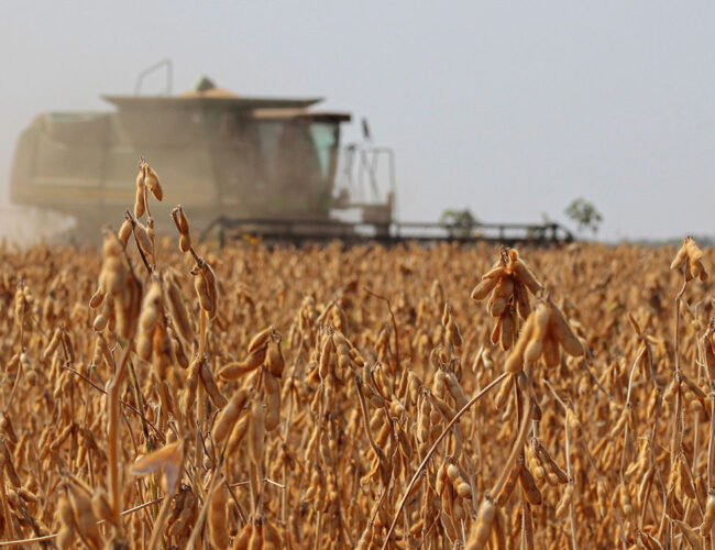 Modelo econômico que privilegia o agronegócio empurra a população para a fome, dizem pesquisadores