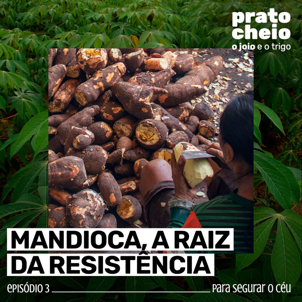Mandioca, a raiz da resistência