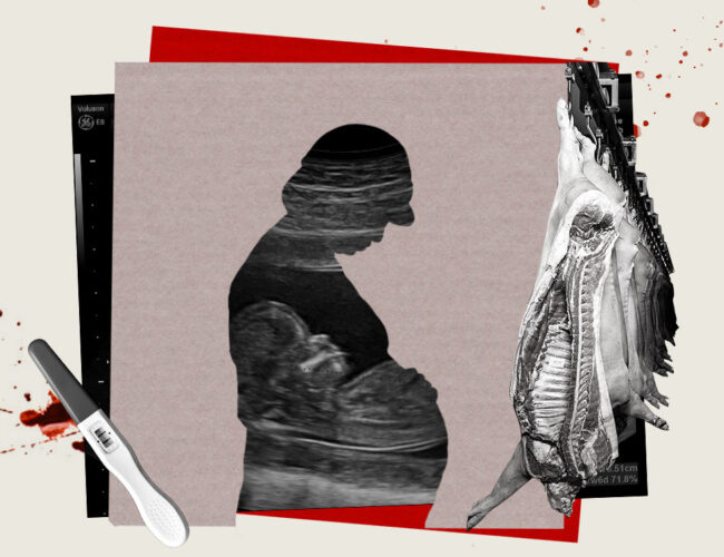 Frigoríficos: indústria da carne que provoca abortos
