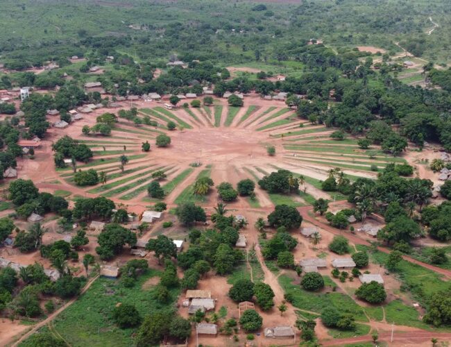 Com financiamento milionário do Banco do Brasil, empresa ligada a “bet” desmatou terras indígenas no Maranhão