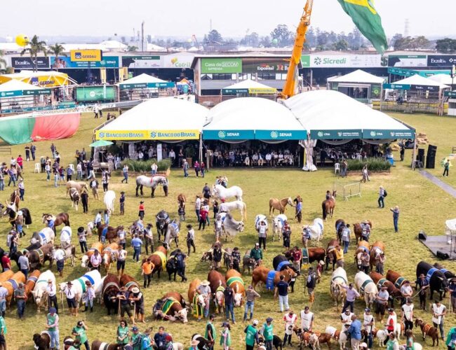 Repórter do Joio é hostilizado por deputado federal em feira agrícola