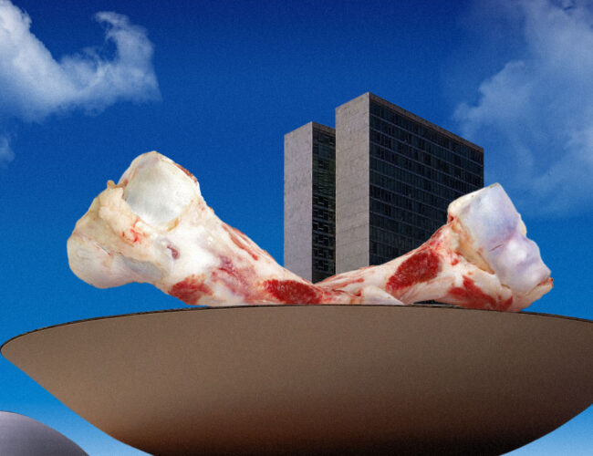 O que está em jogo com a isenção da carne na reforma tributária