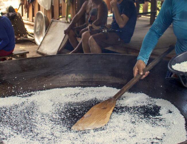 Mandioca, a raiz da resistência