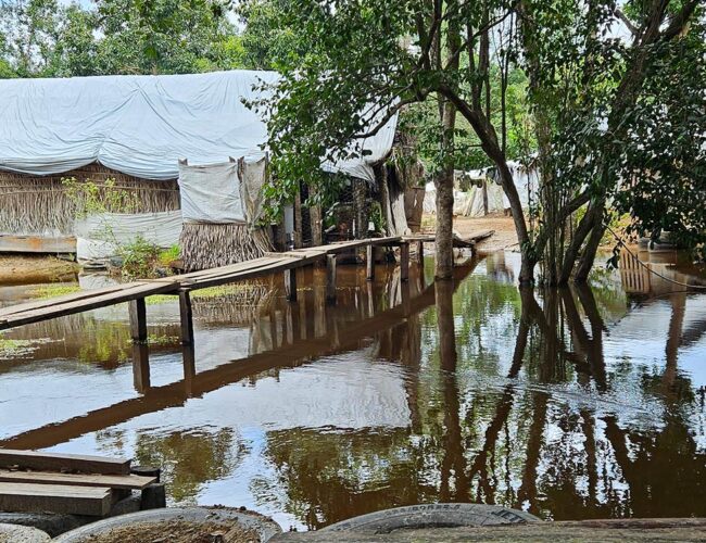 Empresa do agronegócio coleciona ilegalidades e cerca indígenas no Tocantins