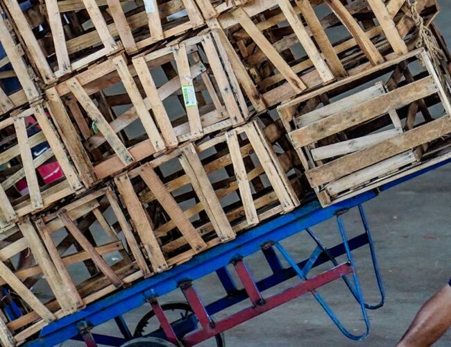 Um ano depois, Plano Alimento no Prato entrega menos do que prometia