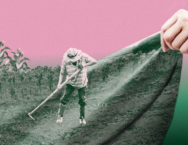 Gigantes do fumo vão atrás de terras, furgão e até aposentadoria de produtores de tabaco em dívida com a indústria