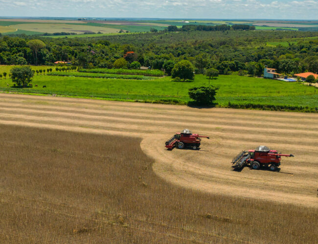 Novo marco do governo federal aproxima agendas de alimentação e clima
