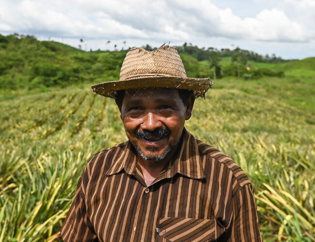 Pipira viu a banana (e sua vida nunca mais foi a mesma)