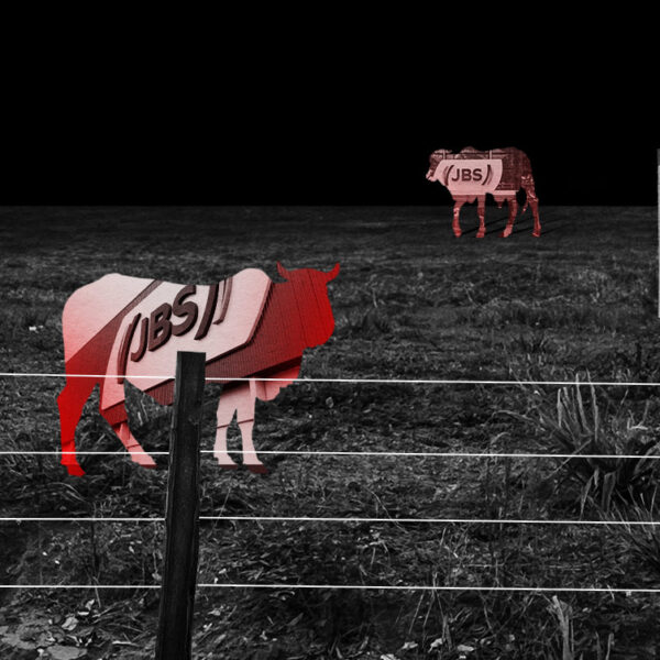 No Pará, cadeia de fornecedores da JBS inclui grileiros de terras da reforma agrária