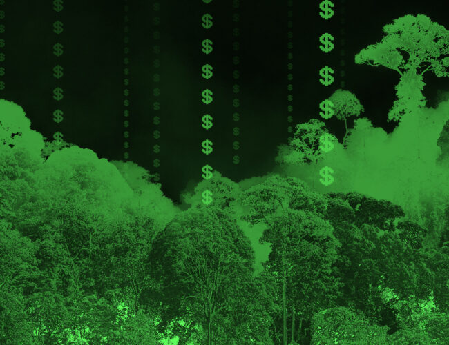 Florestas Tropicais para Sempre, ou até o próximo <i>crash</i>