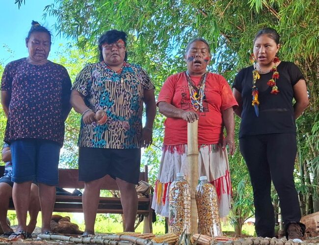 Territórios Guarani Kaiowa cercados por soja e agrotóxico recebem 100 kg de sementes crioulas