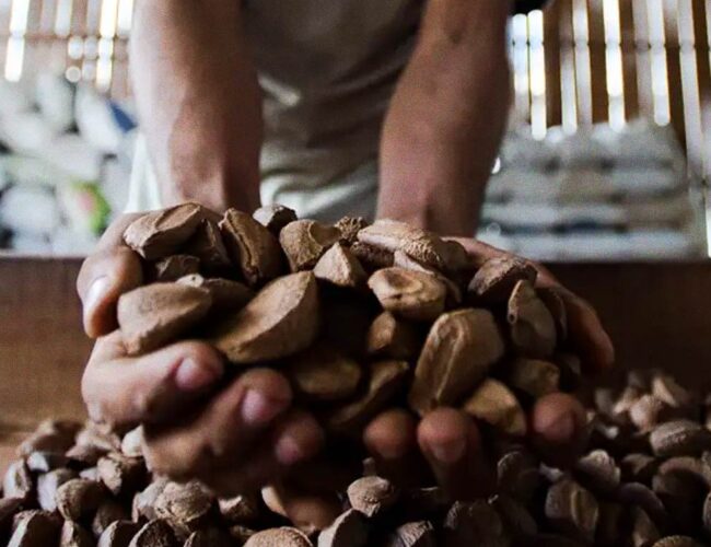 Na Cúpula dos Povos, o prato é político