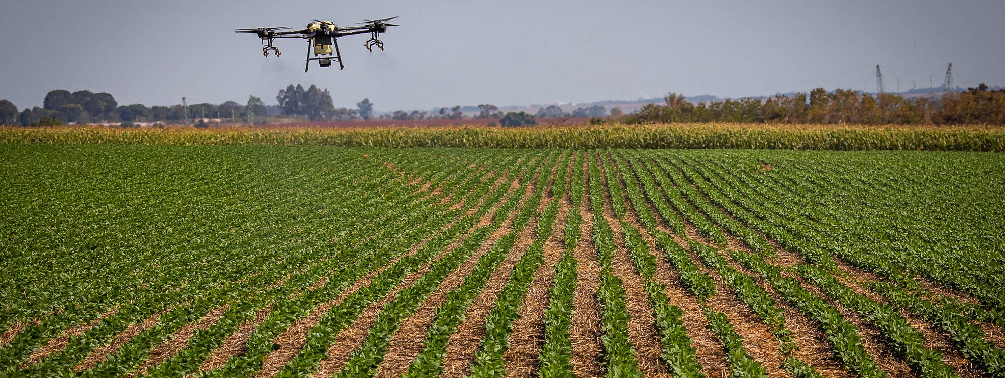 Documento do agro para a COP 30 ignora saúde humana e desmatamento