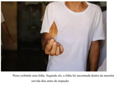 Foto de um homem vestindo camiseta branca, mostrada apenas até o pescoço, segurando uma folha seca de árvore entre os dedos à frente da câmera. O fundo é um ambiente interno com paredes desgastadas e pessoas parcialmente visíveis.